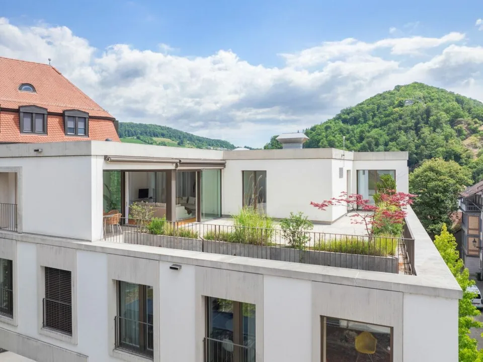 Oasis privée au-dessus des toits de Baden