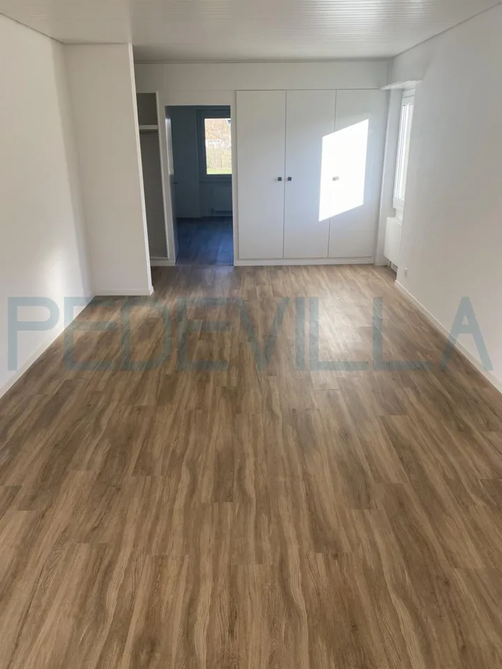 À louer ? Bel appartement de 3 pièces au 1er étage