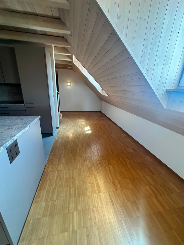 Renovierte 3.5-Zimmer-Dachwohnung - neue Küche