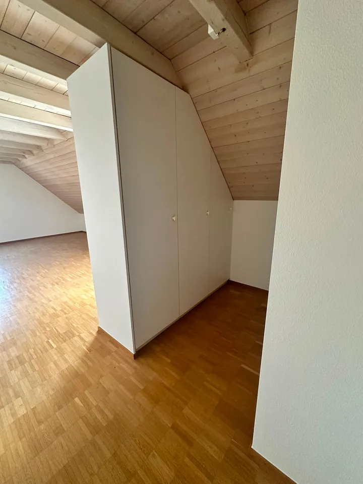Renovierte 3.5-Zimmer-Dachwohnung - neue Küche