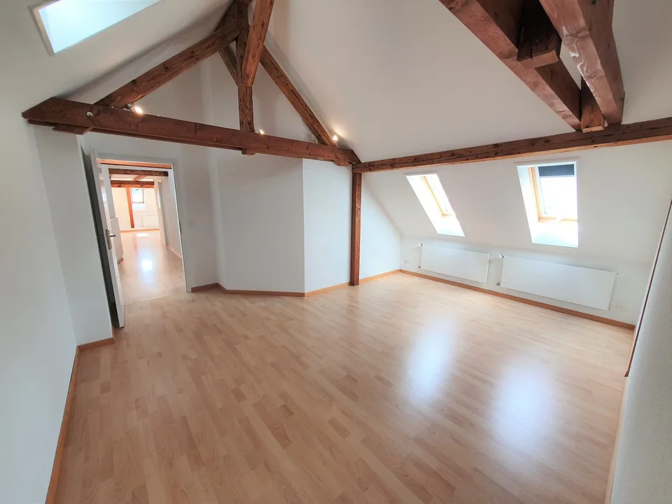 Charmante 3.5-Zimmer-Dachwohnung mit Panoramablick in Zürich-Wipkingen  / befristete bis 31.09.2027