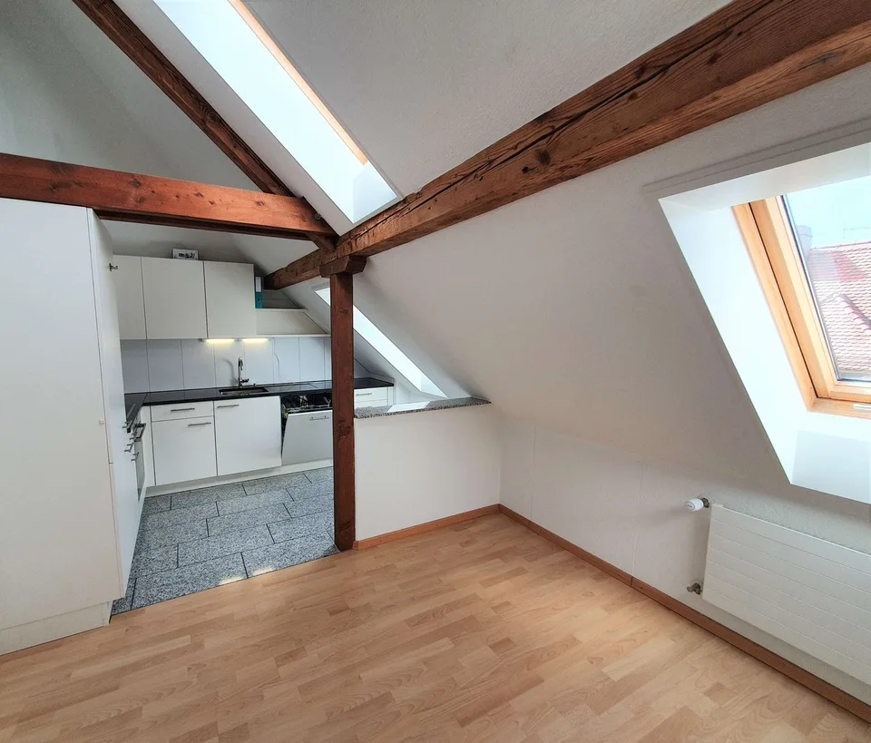 Charmante 3.5-Zimmer-Dachwohnung mit Panoramablick in Zürich-Wipkingen  / befristete bis 31.09.2027