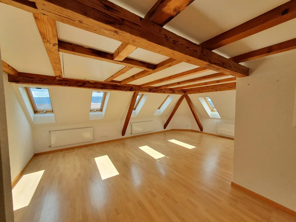 Charmante 3.5-Zimmer-Dachwohnung mit Panoramablick in Zürich-Wipkingen  / befristete bis 31.09.2027