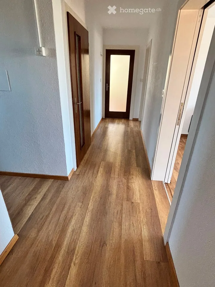 Appartamento arredato di 3,5 locali in una zona tranquilla a Zug