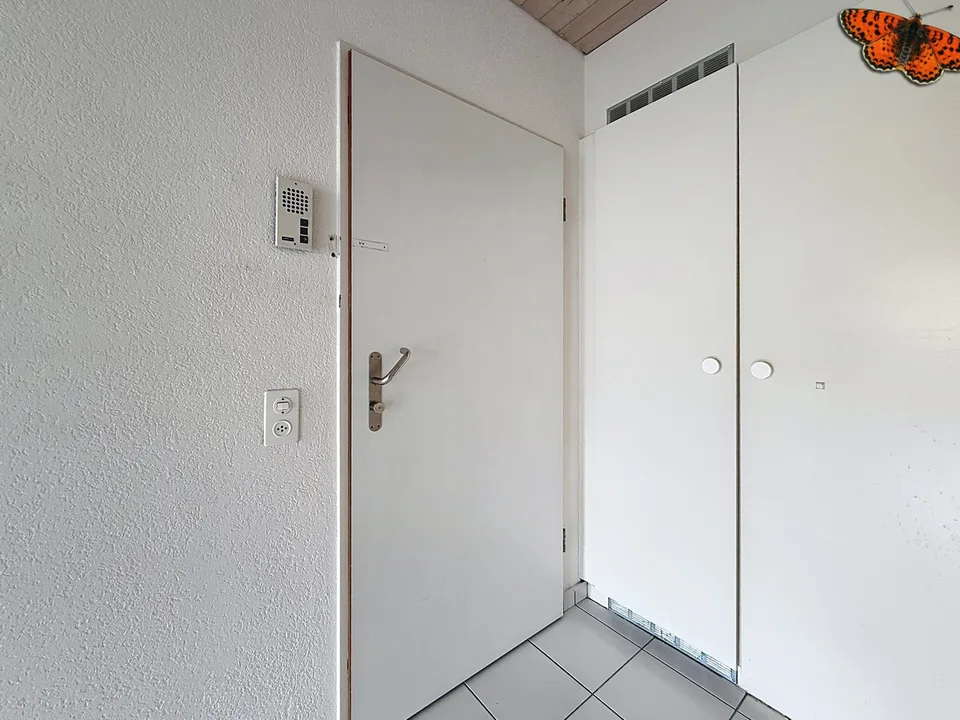 2 Stück - in der Altstadt!