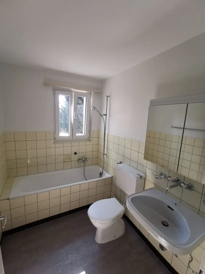 Appartement lumineux partiellement rénové de 3 pièces à Hunzenschwil !