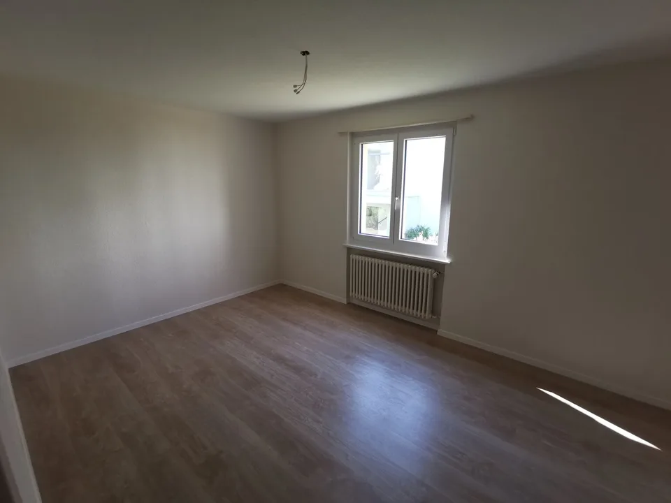 Appartement lumineux partiellement rénové de 3 pièces à Hunzenschwil !