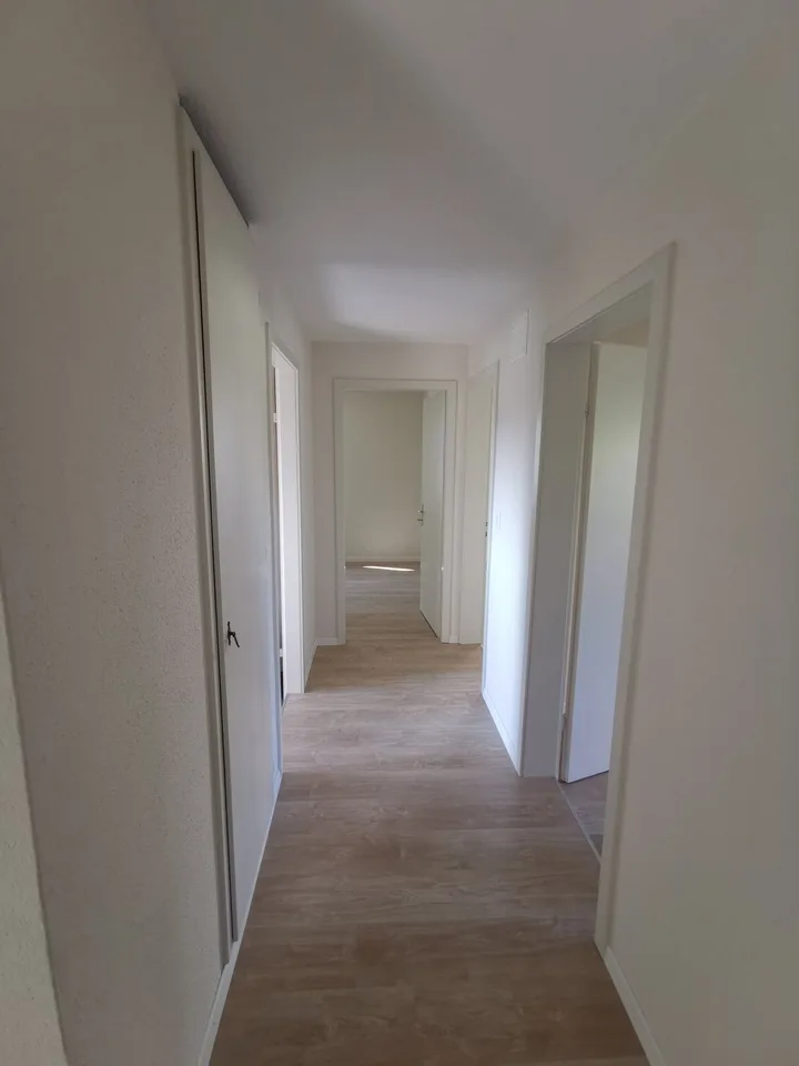 Appartement lumineux partiellement rénové de 3 pièces à Hunzenschwil !