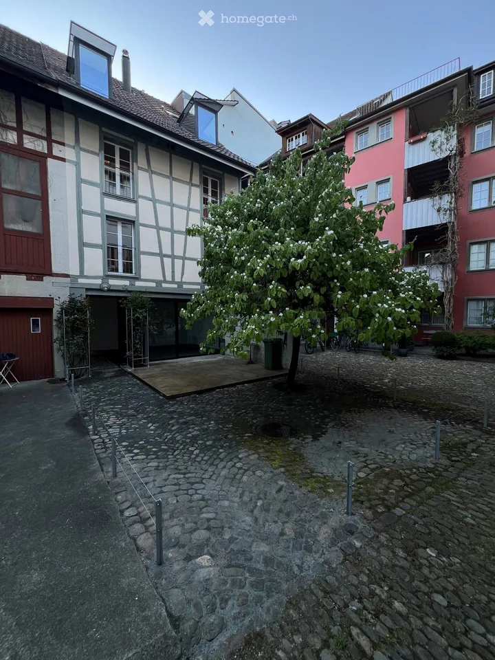 Freshly renovated 7.5-room old town house
