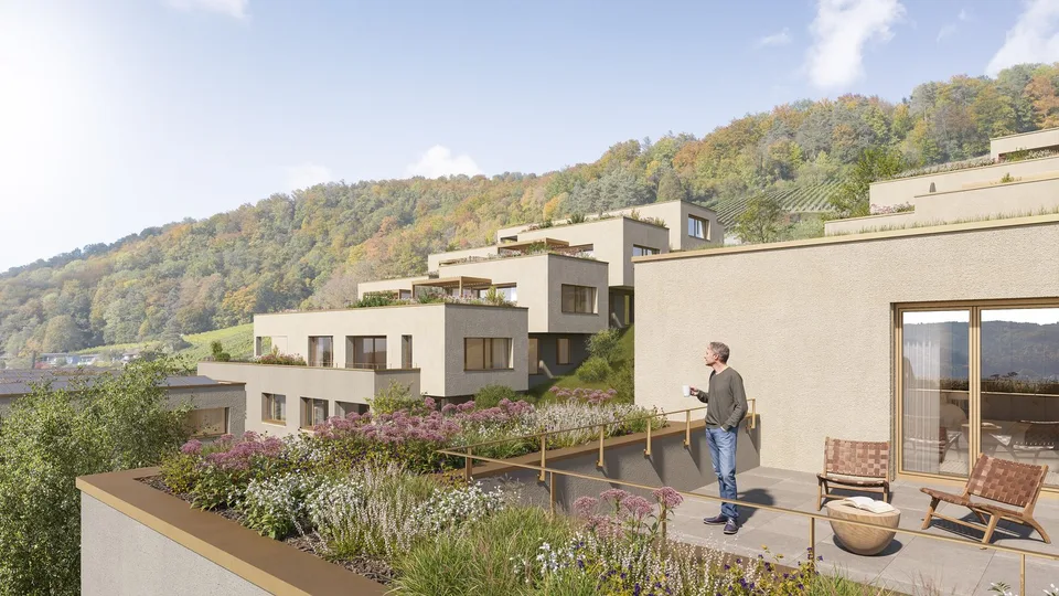 Living with a wide view - Rebbergstrasse 24 in Wettingen
