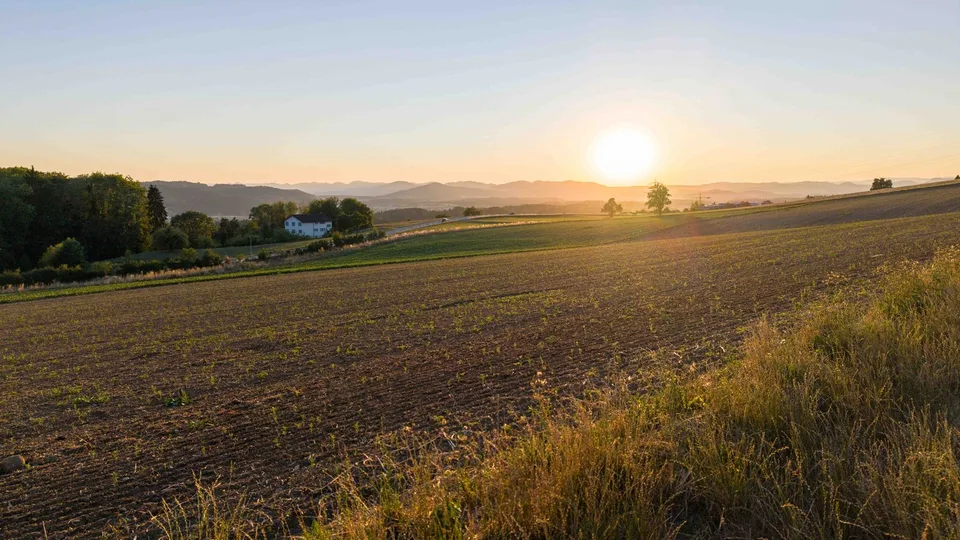 Natura. Vista panoramica. Casa - LIORA a Remetschwil