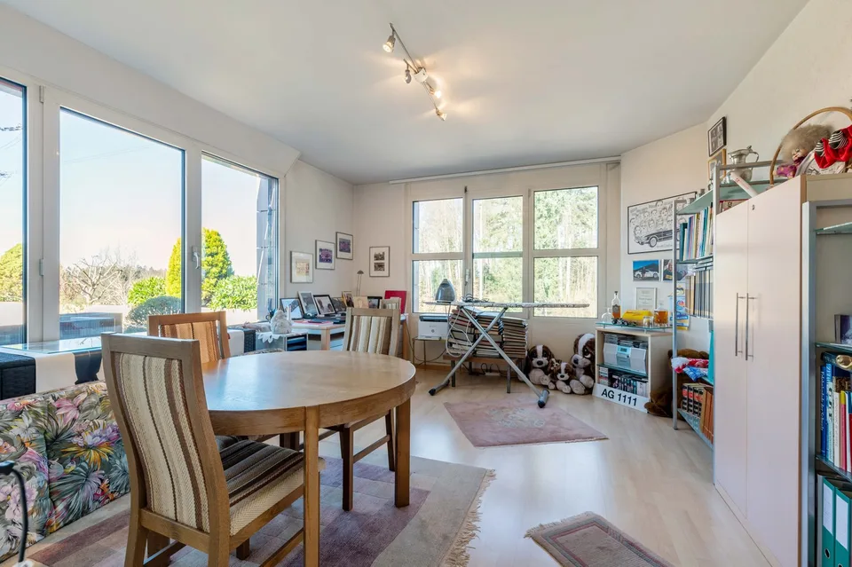 Large terrace with plenty of privacy and Alpine views
