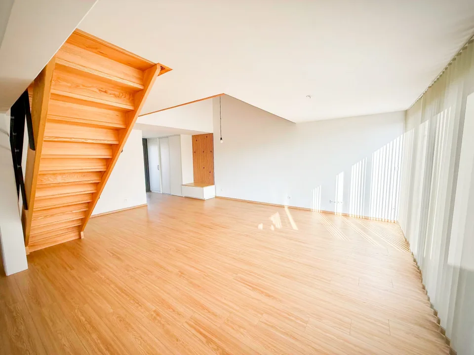 Loft-Penthouse et son Rooftop à 360, à la frontière en France