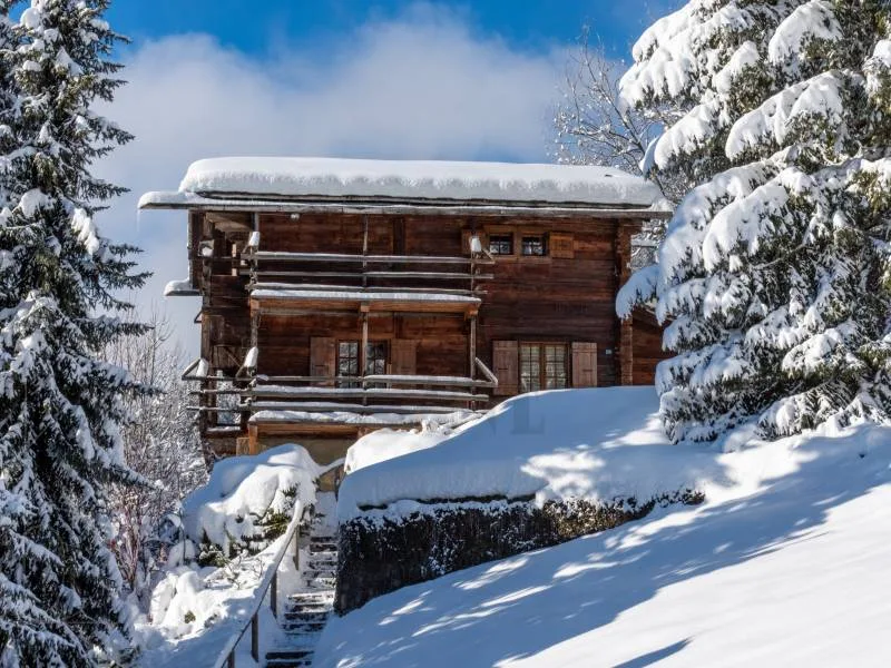 Typisches Chalet mit atemberaubendem Blick