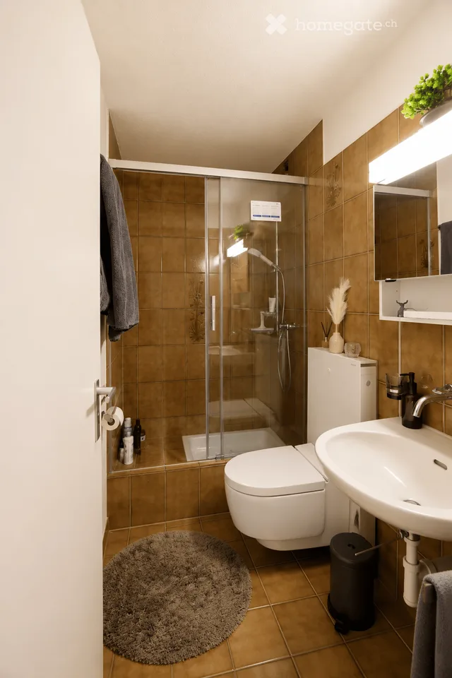 Appartement 4.5 pièces entretenu à Zürich Albisrieden