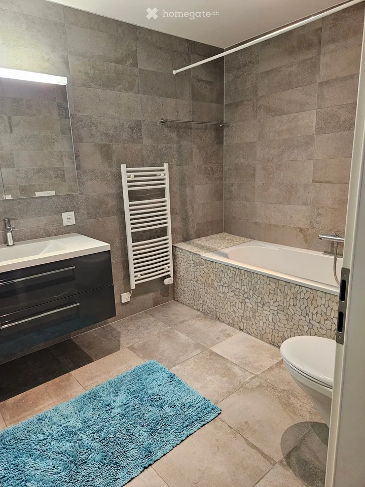 Magnifique appartement 3.5 pèces