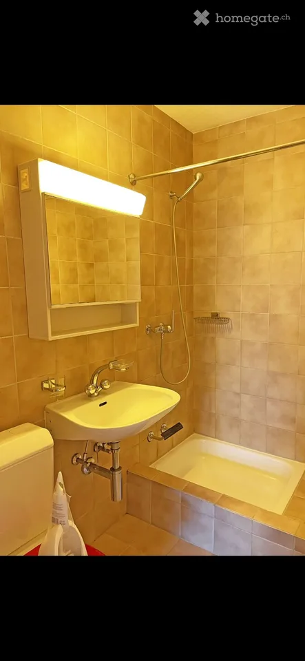 Gemütliche 1.5-Zimmer-Wohnung im Erdgeschoss in Zürich-Seebach