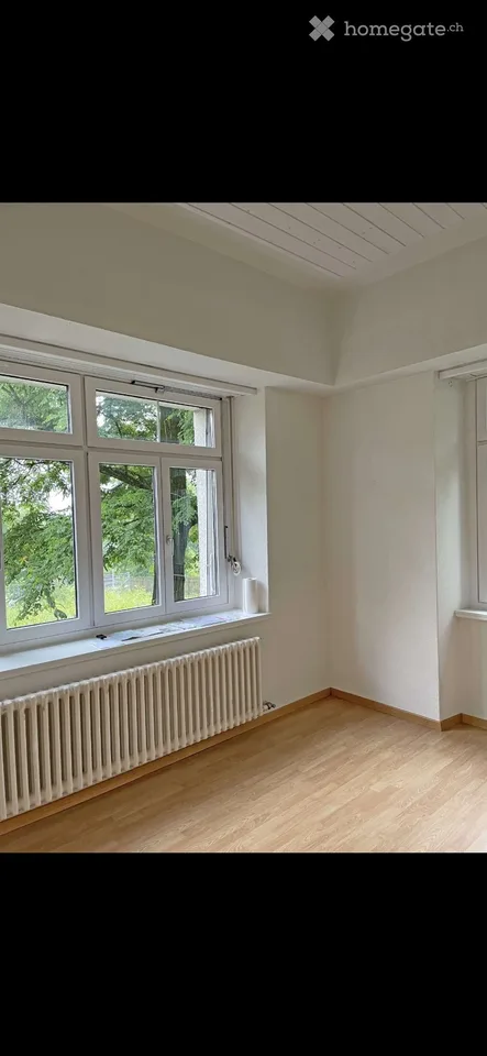 Gemütliche 1.5-Zimmer-Wohnung im Erdgeschoss in Zürich-Seebach