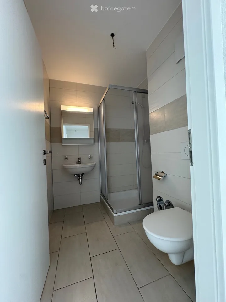 Zweieinhalb-Zimmer-Wohnung zur Miete in Chavannes-près-Renens