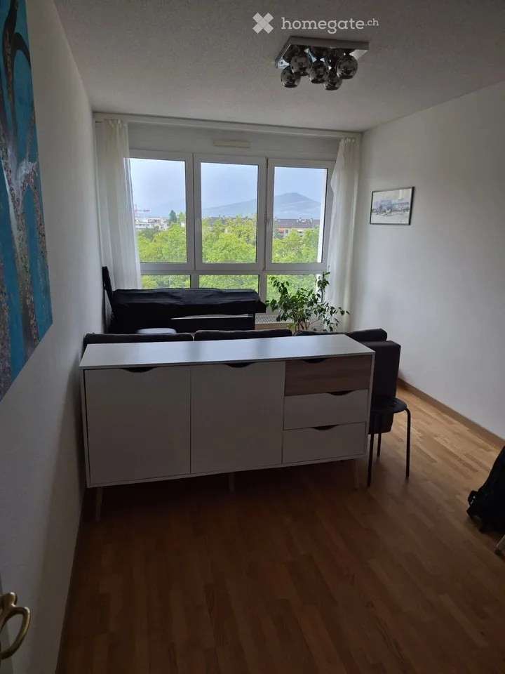 Bail à reprendre. Très bel et grand appartement de 5 pièces