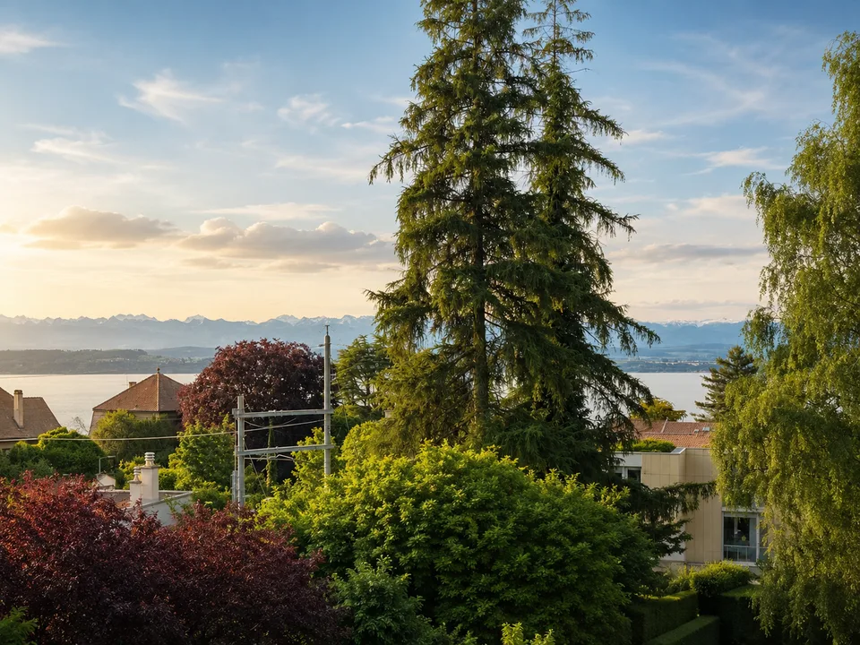 Vue imprenable sur le lac – Superbe 4,5 pièces entièrement rénové