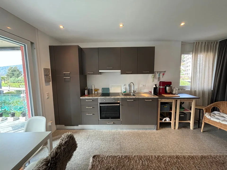 Moderno 1,5/2 locali ammobiliato con terrazzo e piscina