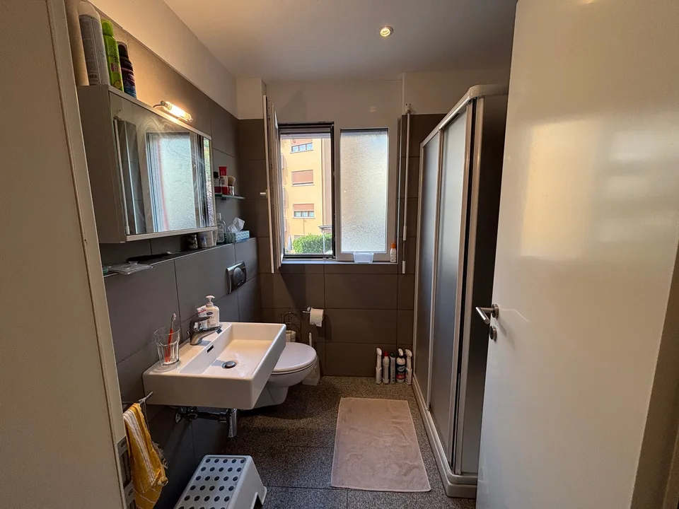 Moderno 1,5/2 locali ammobiliato con terrazzo e piscina