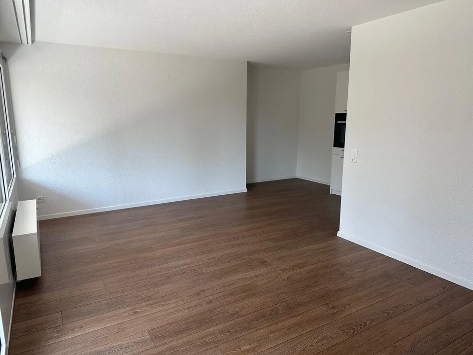 In affitto su accordo, appartamento di 2,5 locali appena ristrutturato con ampio balcone