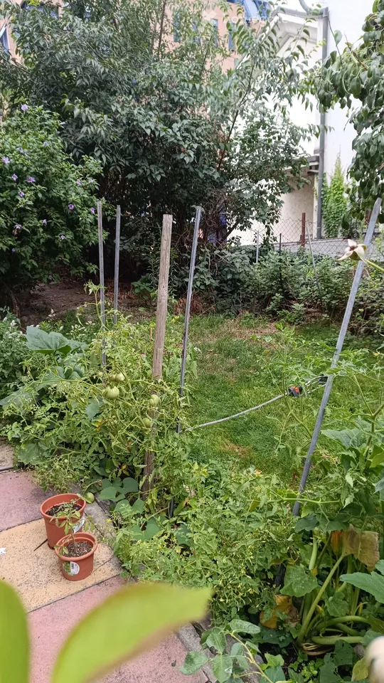 Apartment 3.5 rooms with large garden