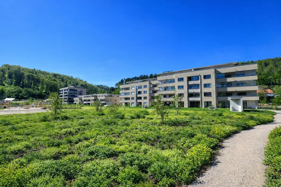 Vivere in modo moderno a Zwingen – Appartamento nuovo di 4.5 locali di alta qualità con balcone