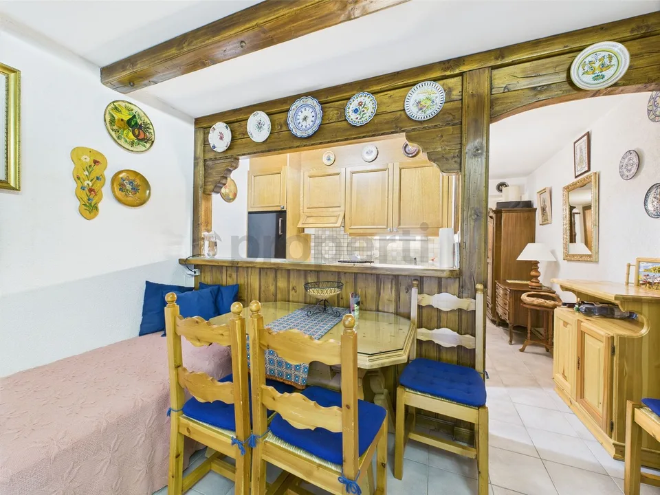 Charming studio with terrace and garden in Crans-Montana