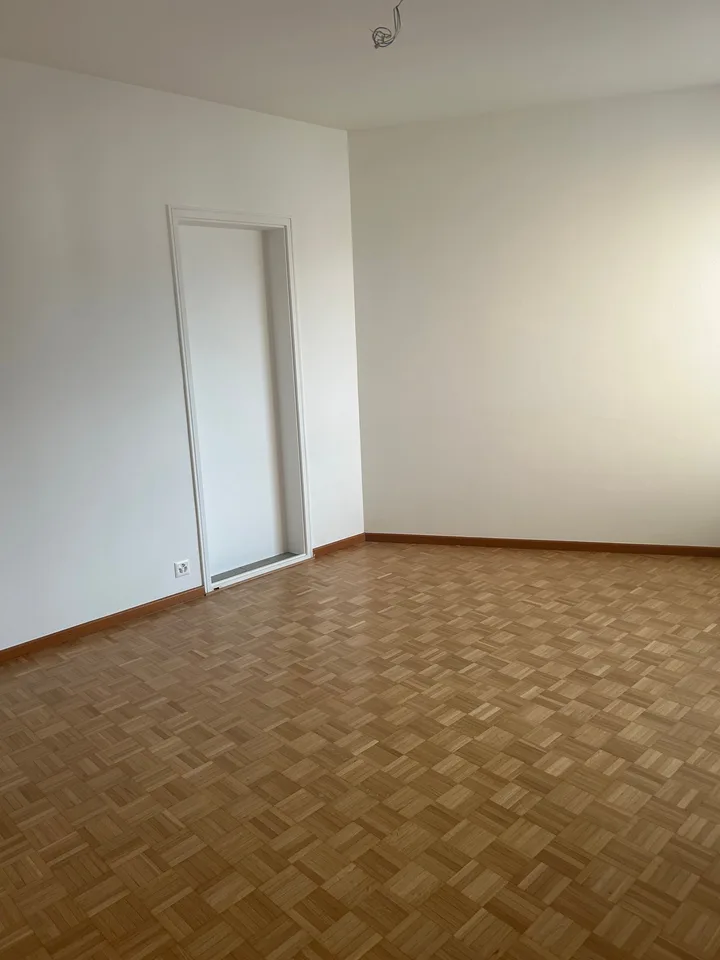3.5 Room Apartment