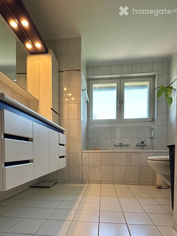 4.5 Room Terrace Apartment in Lengnau