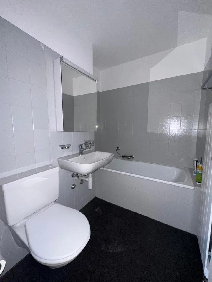 Renovated 1.5-room apartment with garden seating area in central location