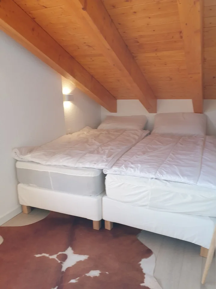 Vacation Rental: Alpazur-Combles Apartment