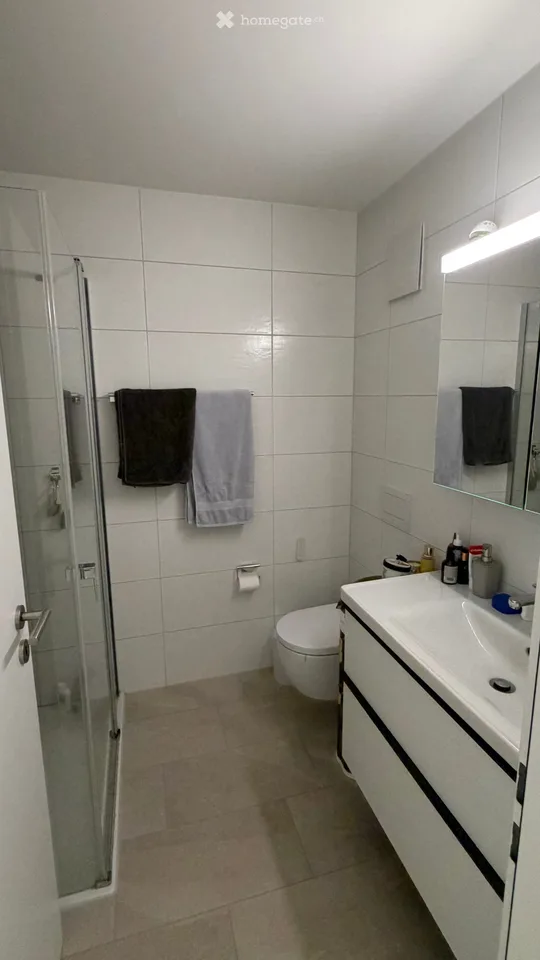 Moderne 2.5-Zimmer-Wohnung in Dübendorf – renoviert und tierfreundlich