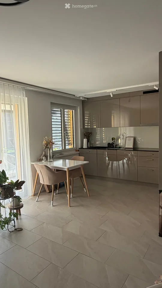 Moderne 2.5-Zimmer-Wohnung in Dübendorf – renoviert und tierfreundlich