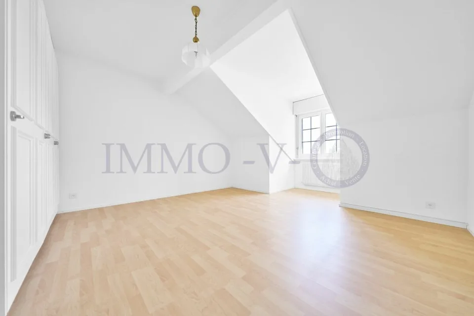 SPACIOUS RENOVATED ATTIC WITH CHARACTER WITH BALCONY-TERRACE AND LAKE VIEW