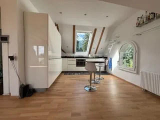 Multi-family house (3-family) with garden & guest house (multi-generation house)