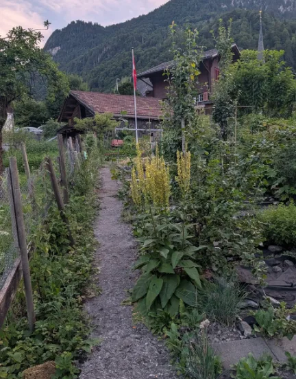 320 anni di casa – adesso la tua? Casa a schiera, 5 locali, Luchsingen GL