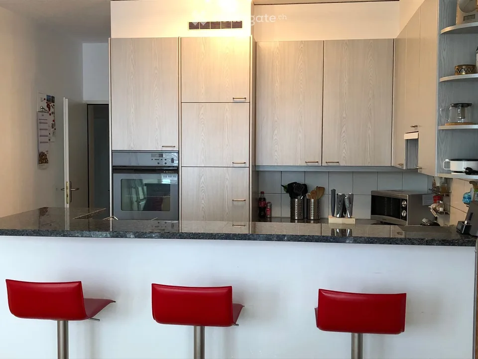 3.5 room apartment, 2nd (top) floor with 51 m² rooftop terrace and parking space