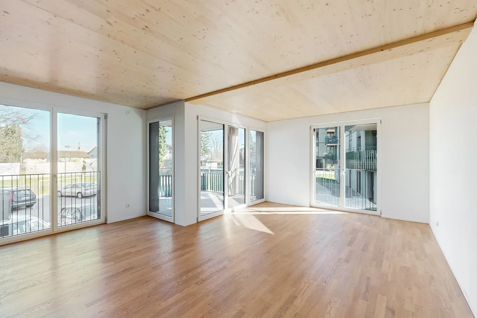 Appartement neuf directement au Milchbuck