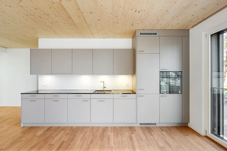 Appartement neuf directement au Milchbuck