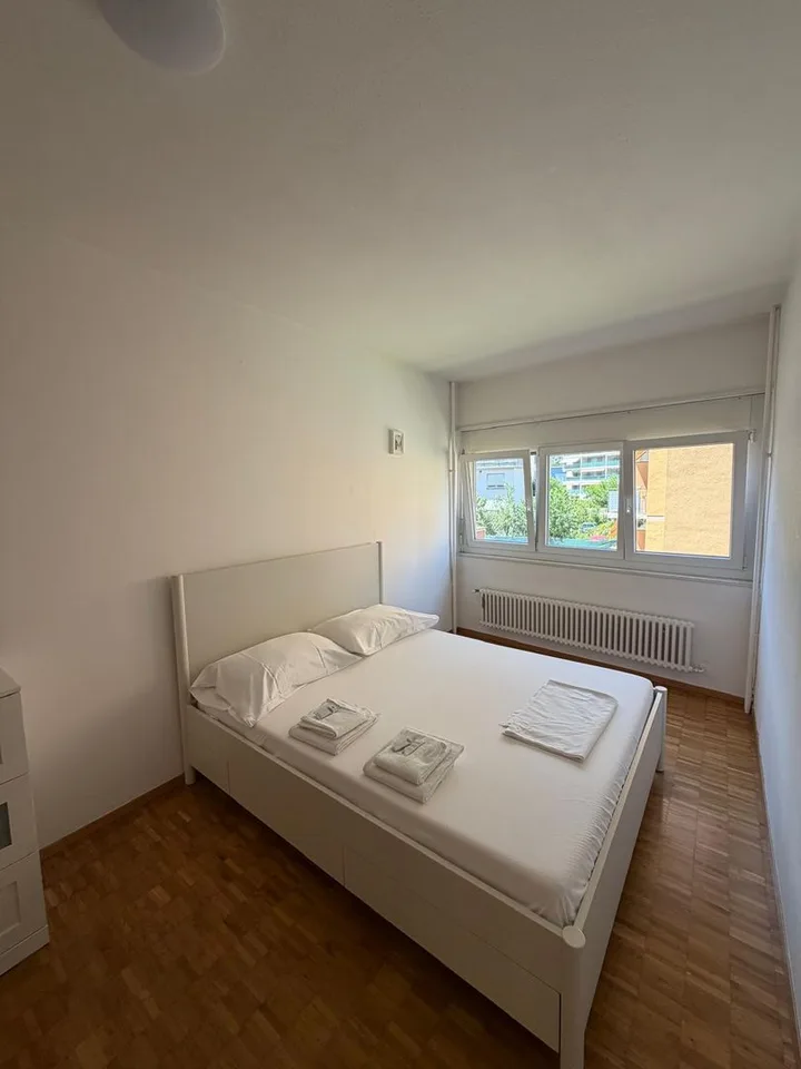 Wohnung mit Möbeln Bellinzona 3.5 Zimmer