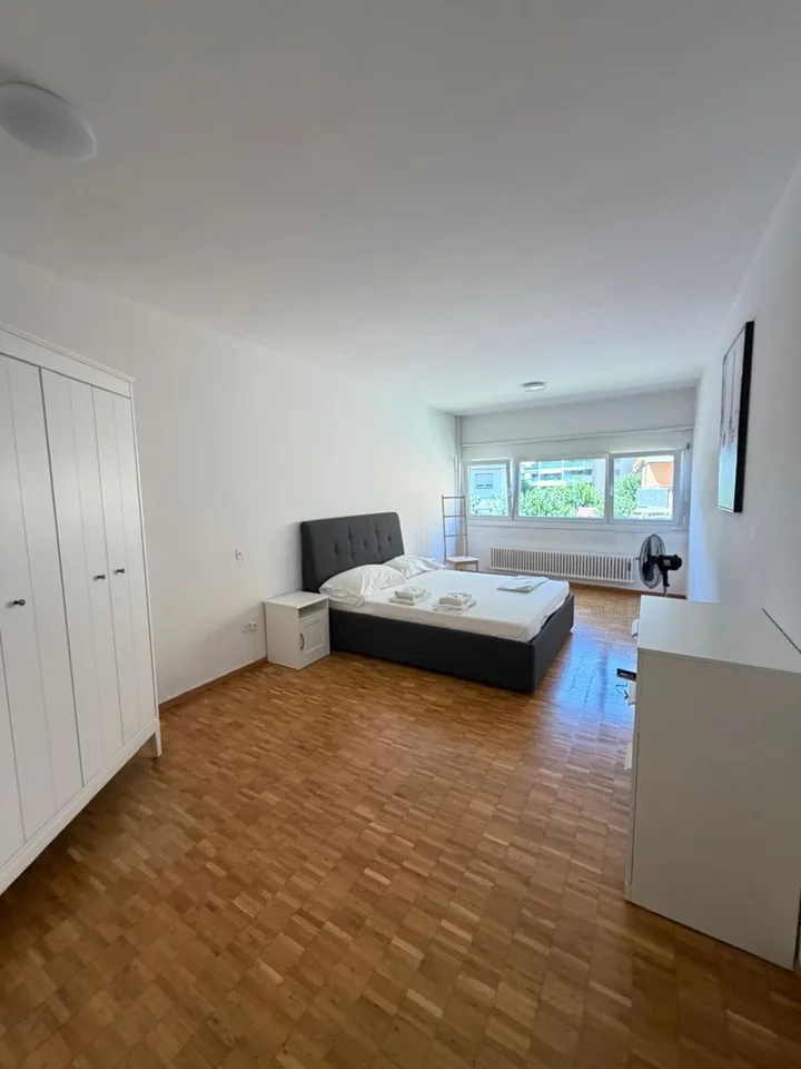 Wohnung mit Möbeln Bellinzona 3.5 Zimmer