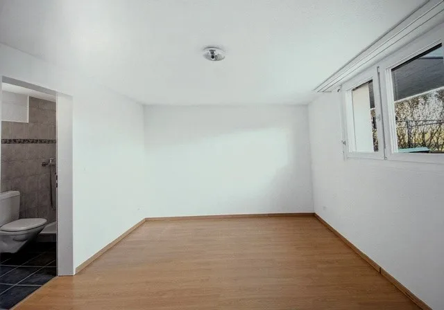 Casa semidetached di 6,5 locali affascinante in una posizione tranquilla a Buttikon SZ
