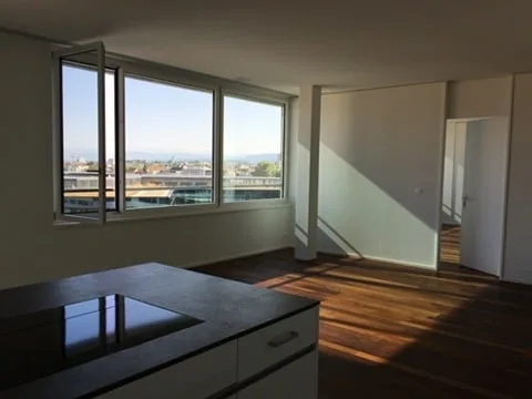 Penthouse mit Alpenblick, 3.5 Zimmer, 116 m²