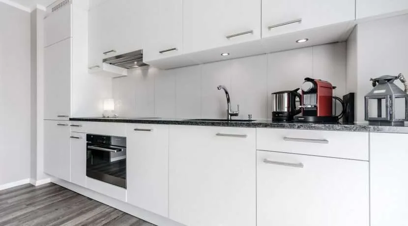 Appartement 1.5 pièces au cœur de Zurich-Oerlikon