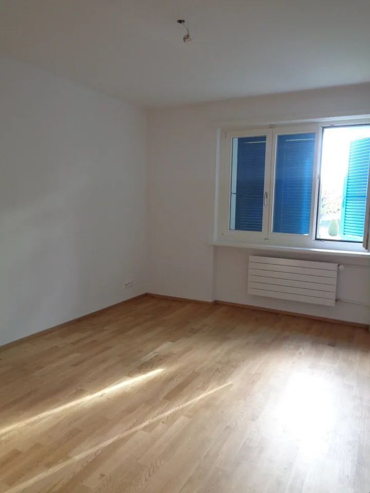 Charmante 3.5-Zimmer-Altbauwohnung mit Balkon in Solothurn