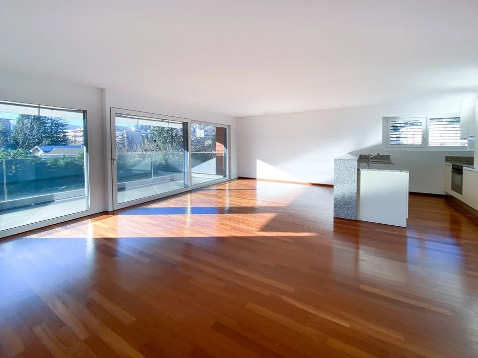 Appartement spacieux de 3,5 pièces avec terrasse à Agno